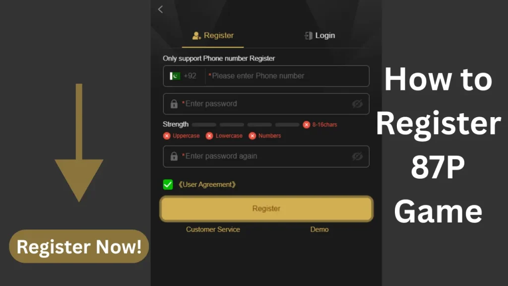 87P Game Register